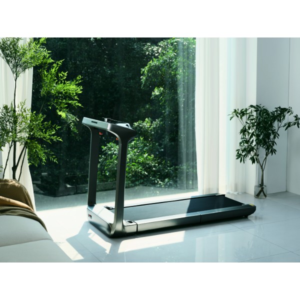 Фото - Беговая дорожка KingSmith WalkingPad Treadmill X218